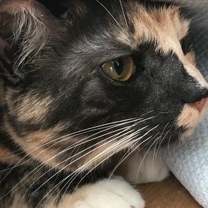 Meet your Posher, Kaylee